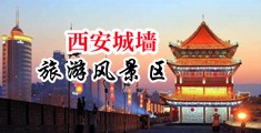 美女骚货母狗中国陕西-西安城墙旅游风景区