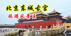 意大利大鸡巴日胖女人网站中国北京-东城古宫旅游风景区